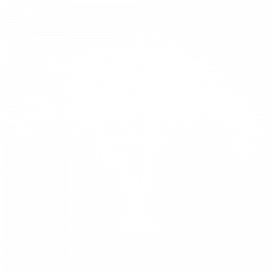 flamboyant blanc