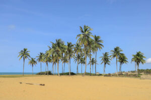 Plage de Ouidah Benin Voyage Scolaire TMA Festival 1