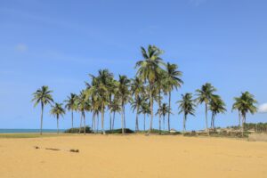 Plage de Ouidah Benin Voyage Scolaire TMA Festival