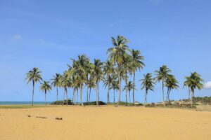 Plage de Ouidah Benin Voyage Scolaire TMA Festival Photo Agbeko Lucien MASSEME Orbit