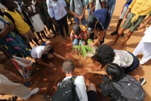 Voyage scolaire et culturel Benin Arbre