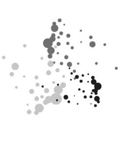 img 9