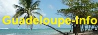 Logo Guadeloupe Info