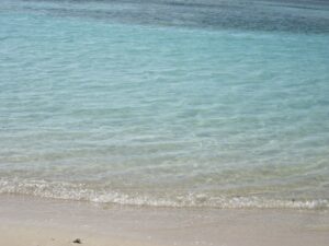 Guadeloupe TMA Festival Port Louis Transmission Music Arts 2021