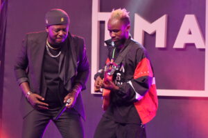 TMA Festival Kinshasa RDC Halle de la Gombe Institut Francais Eric Nice 2